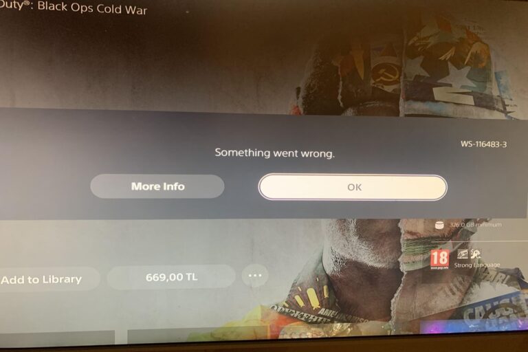 Understanding & Fixing PS5 Error Code (WS-116483-3)
